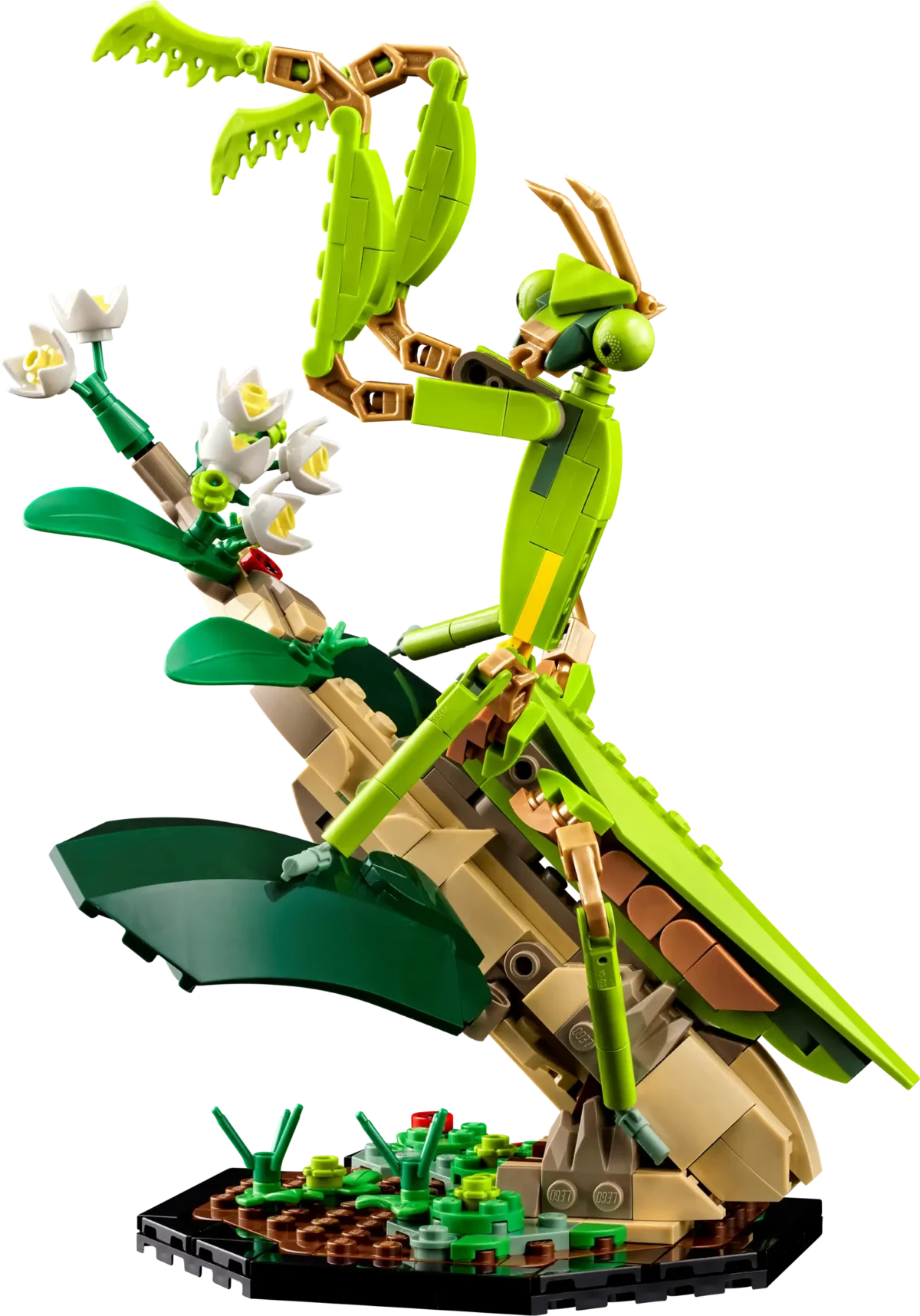 LEGO® The Insect Collection - Image 4